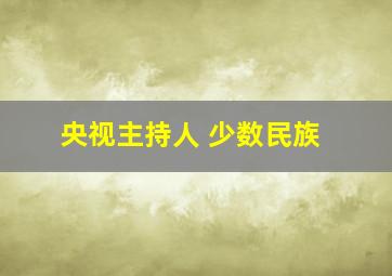 央视主持人 少数民族